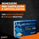 Fluid Motion Fluid Motion