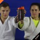 Shaker 500ml